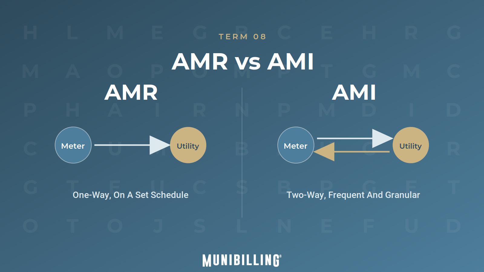term_amr_ami-2